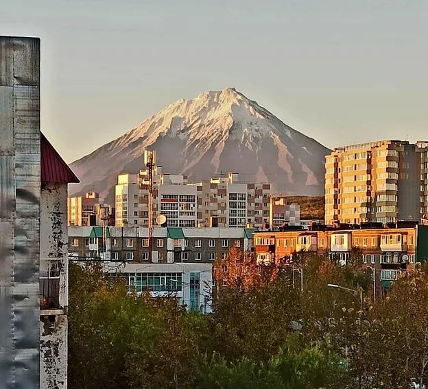 квартира г Петропавловск-Камчатский ул Ларина 27/1 фото 5