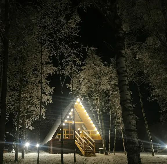 комната р-н Выборгский п Волочаевка Рощинское городское поселение, ул. Заречная фото 2