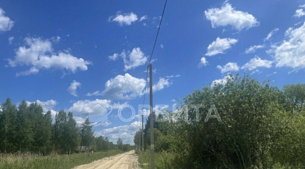 земля г Тюмень р-н Центральный снт Мелиоратор ул. Плодовая фото 2