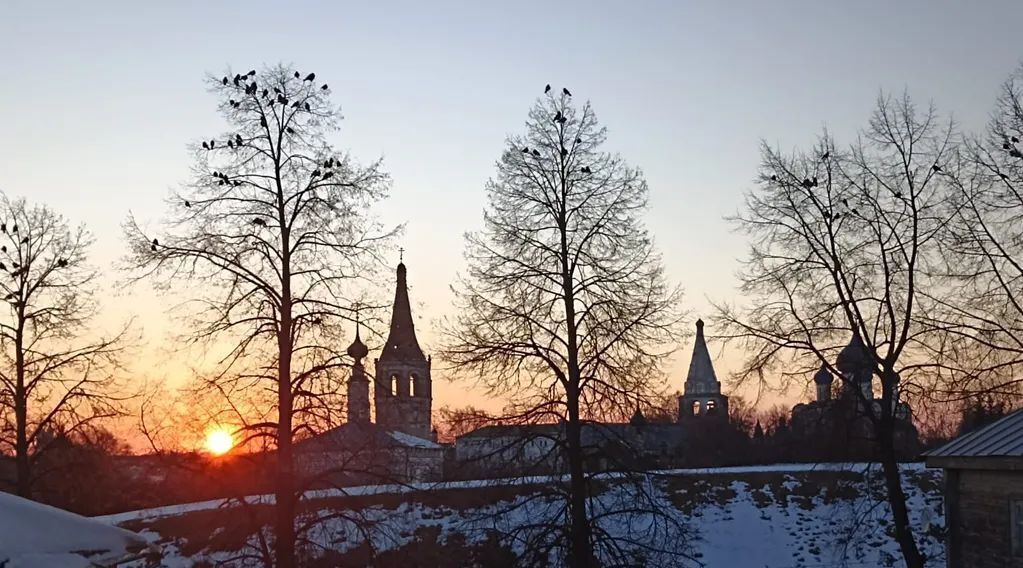 комната р-н Суздальский г Суздаль ул Ленина 46а городское поселение Суздаль фото 11