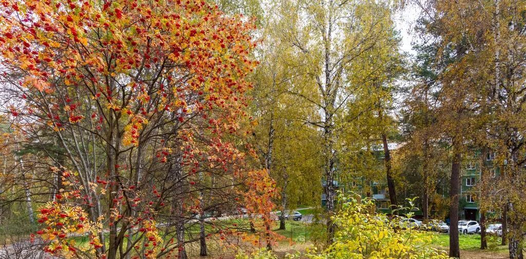 квартира г Новосибирск р-н Советский Октябрьская Академгородок ул Жемчужная 28 фото 16