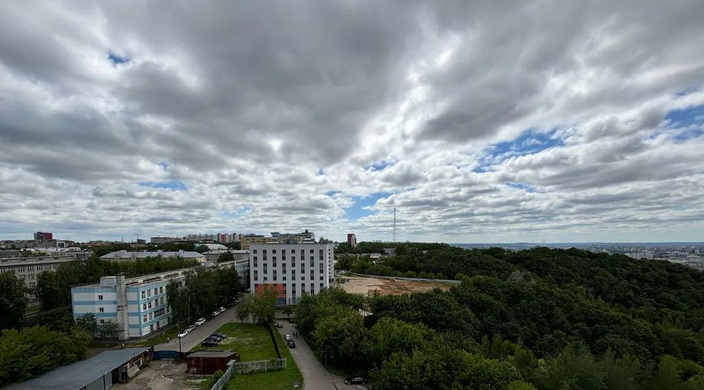 квартира г Нижний Новгород р-н Советский Горьковская ул Маршала Баграмяна 1 фото 9