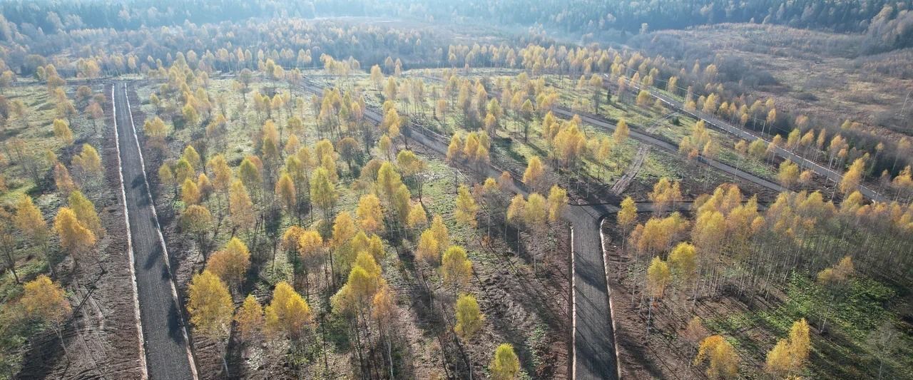 земля городской округ Солнечногорск улица Гоголя, 36 фото 7