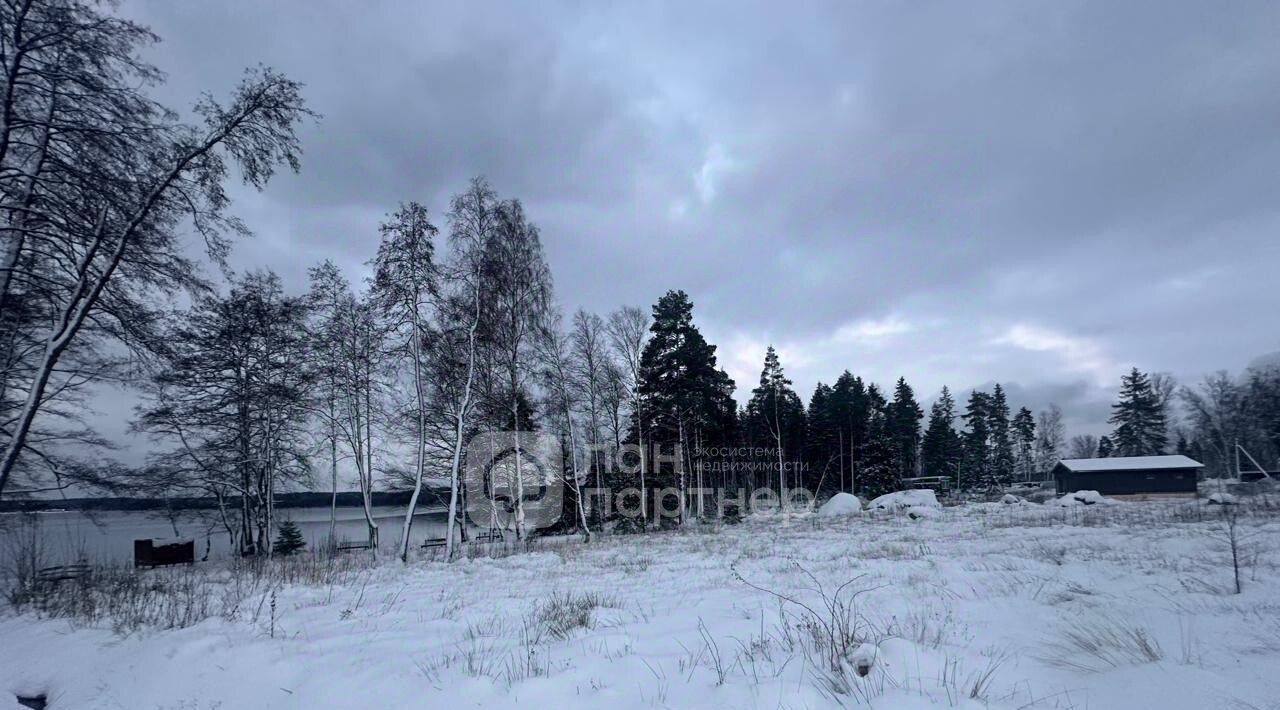 земля р-н Выборгский Приморское городское поселение, Сосновый пляж кп фото 4