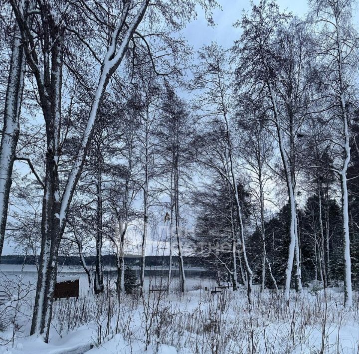 земля р-н Выборгский Приморское городское поселение, Сосновый пляж кп фото 7