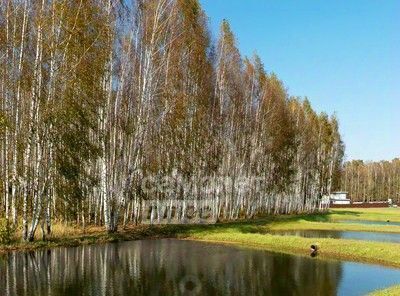 Улица Старокачаловская фото