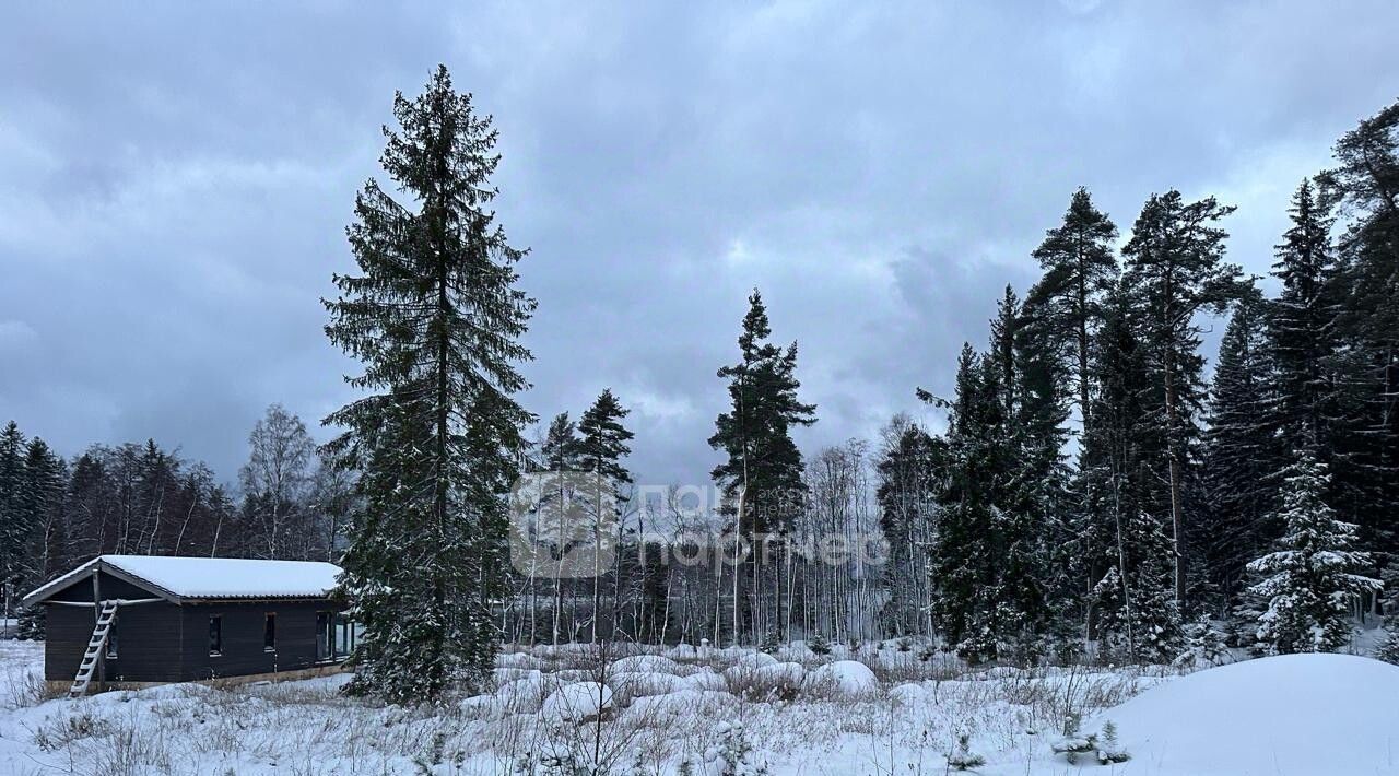 земля р-н Выборгский Приморское городское поселение, Сосновый пляж кп, 59 фото 3