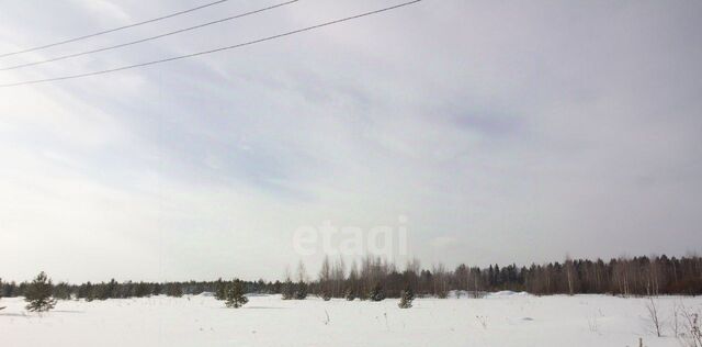 земля р-н Пригородный с Николо-Павловское фото