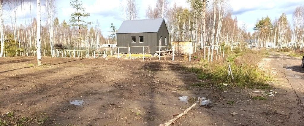 земля р-н Всеволожский снт Родничковое Всеволожское городское поселение, ул. Северная фото 3