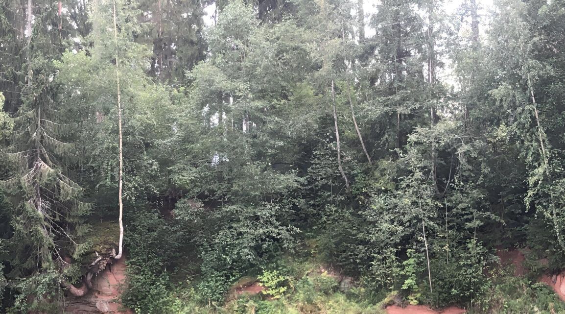 земля р-н Гатчинский Вырица городской поселок, ул. Удельная, 5 фото 18