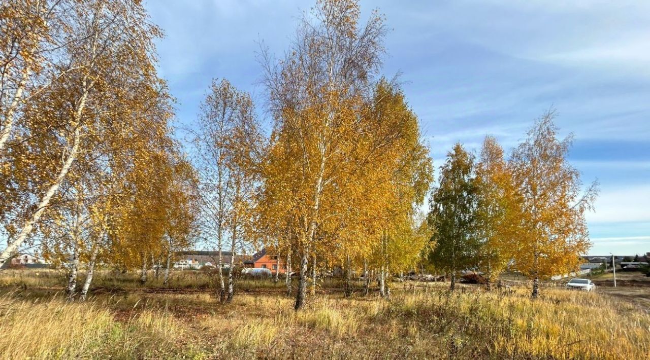 земля р-н Пестречинский с Ленино-Кокушкино Ленино-Кокушкинское сельское поселение фото 1