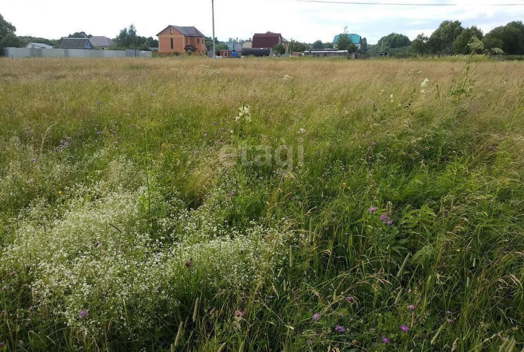 земля р-н Ферзиковский сельское поселение Грабцево, деревня Горневская Слобода фото 7