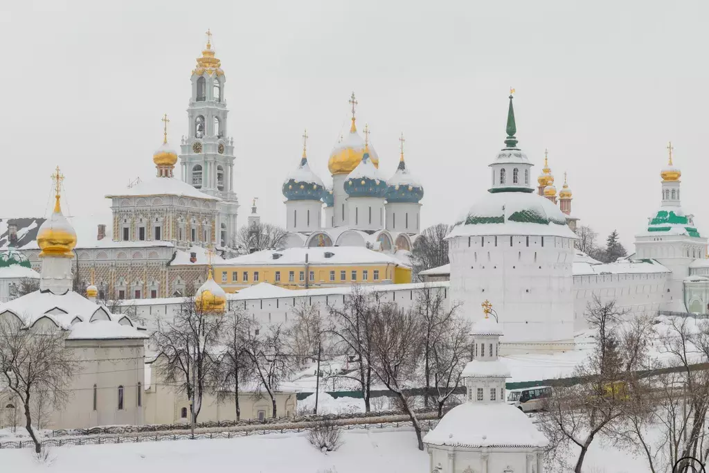 квартира г Сергиев Посад ул Сергиевская 13 к 4 фото 24