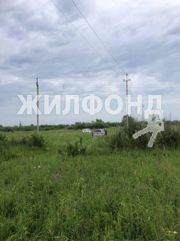 с Соколово Пять озер садовое товарищество фото