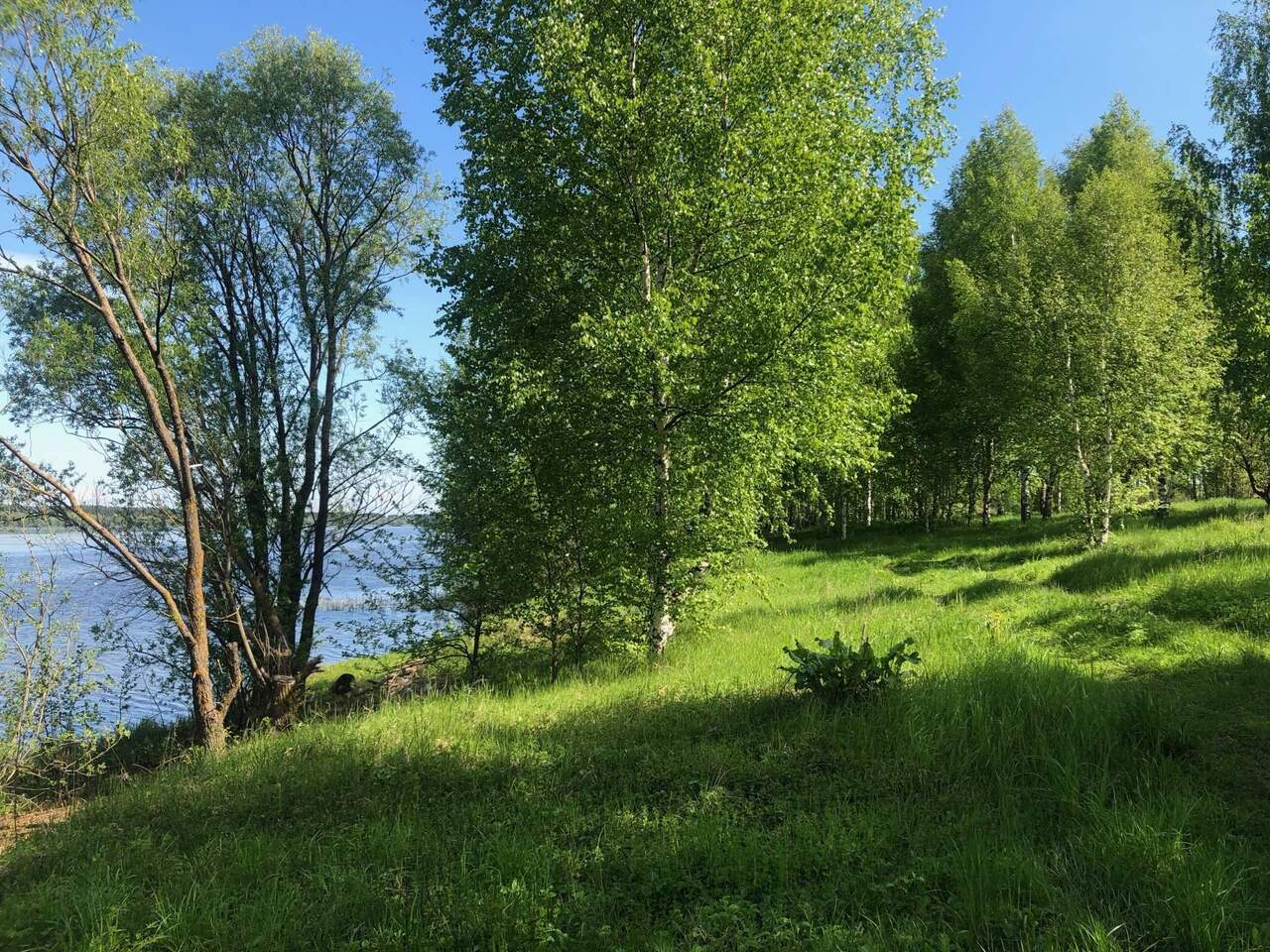 земля р-н Некрасовский п Приволжский Некрасовское сельское поселение фото 1