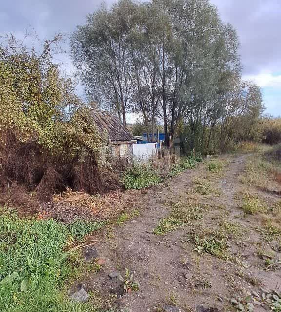 земля г Калининград р-н Ленинградский городской округ Калининград, СТ Чайка фото 3