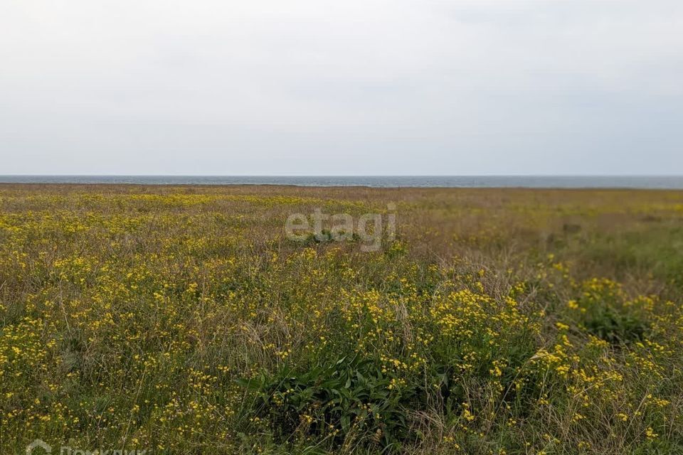 земля р-н Черноморский фото 2