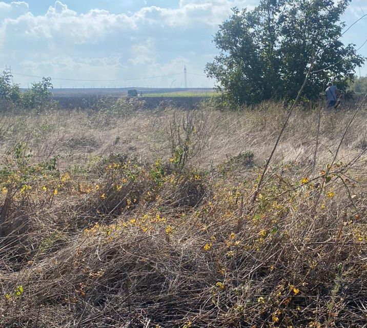 земля р-н Анапский х Черный ул Свободы 9 Анапа городской округ фото 3