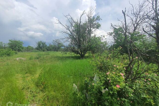 городской округ Шахты, СНТ Дружба фото