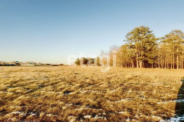 земля д Старцево тер. ДНТ Алые Паруса ул Центральная 12 фото