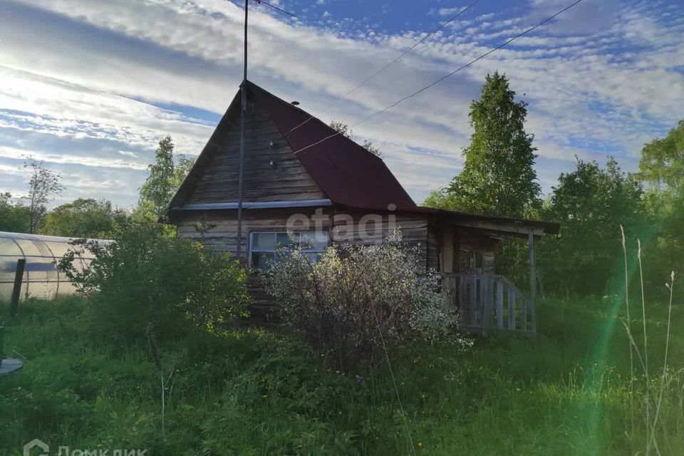 дом р-н Приморский СОТ Никольское фото 6