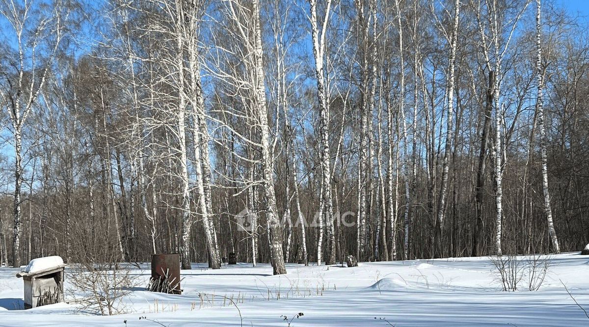 земля р-н Искитимский Морозовский сельсовет, Успех СПК фото 5