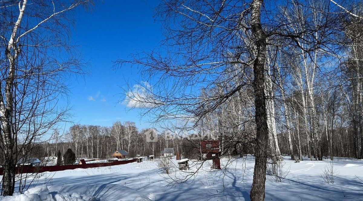 земля р-н Искитимский Морозовский сельсовет, Успех СПК фото 14