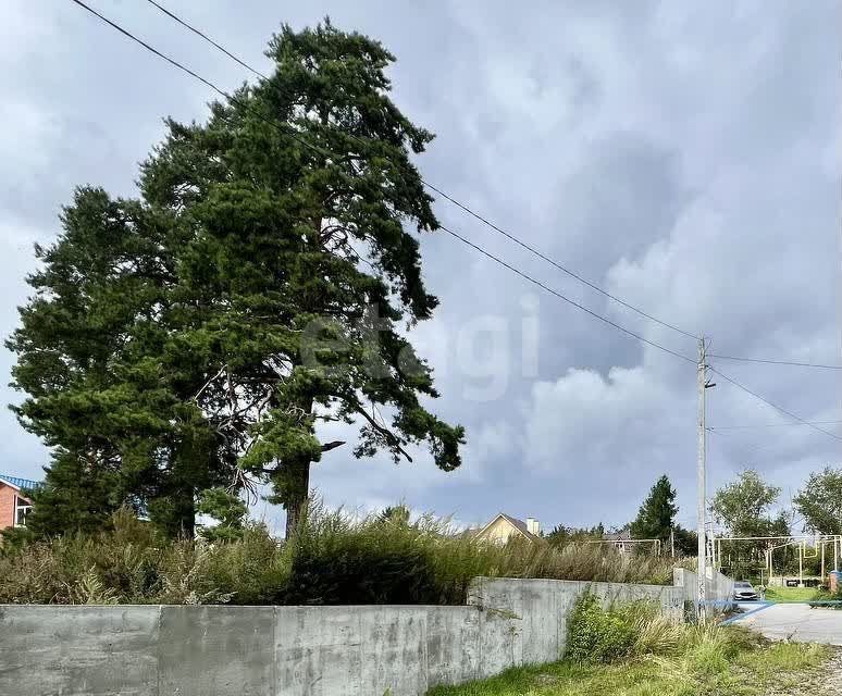 земля р-н Каслинский п Кисегач Чебаркульский городской округ, Чебаркуль, разъезд фото 6