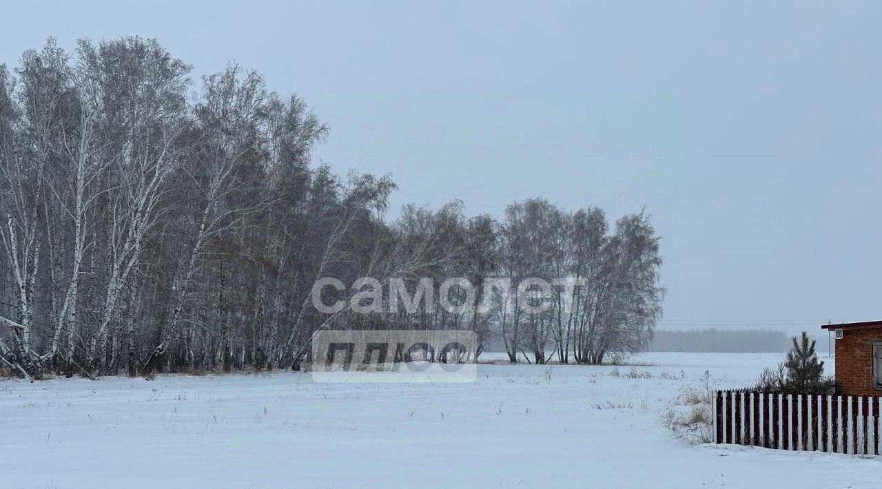 дом р-н Азовский немецкий национальный с Цветнополье ул Северная 130 фото 2