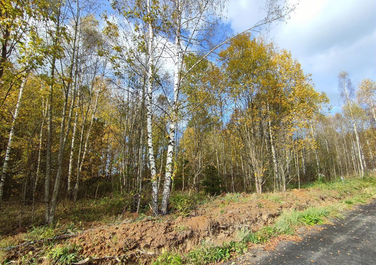 земля городской округ Дмитровский д Ваньково 41 км, Деденево, Дмитровское шоссе фото 8