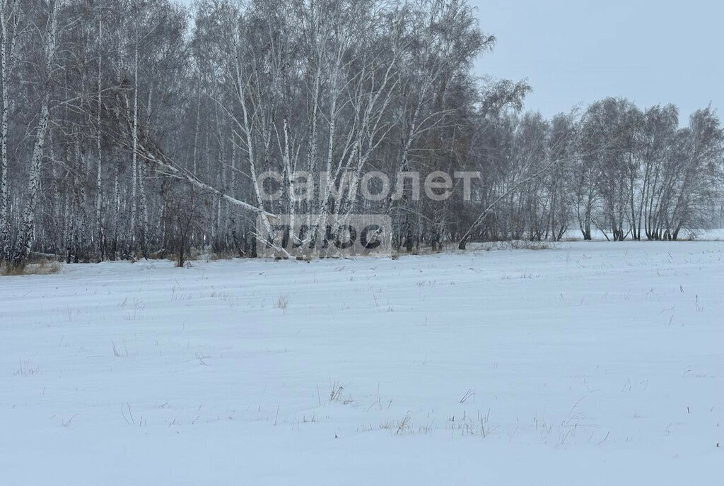 земля р-н Азовский немецкий национальный с Цветнополье ул Северная фото 1