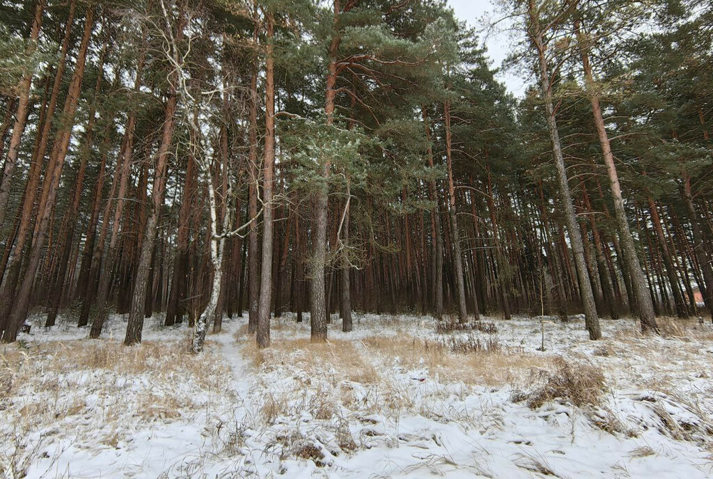 квартира г Воскресенск р-н Цемгигант ул 40 лет Октября 17 фото 22