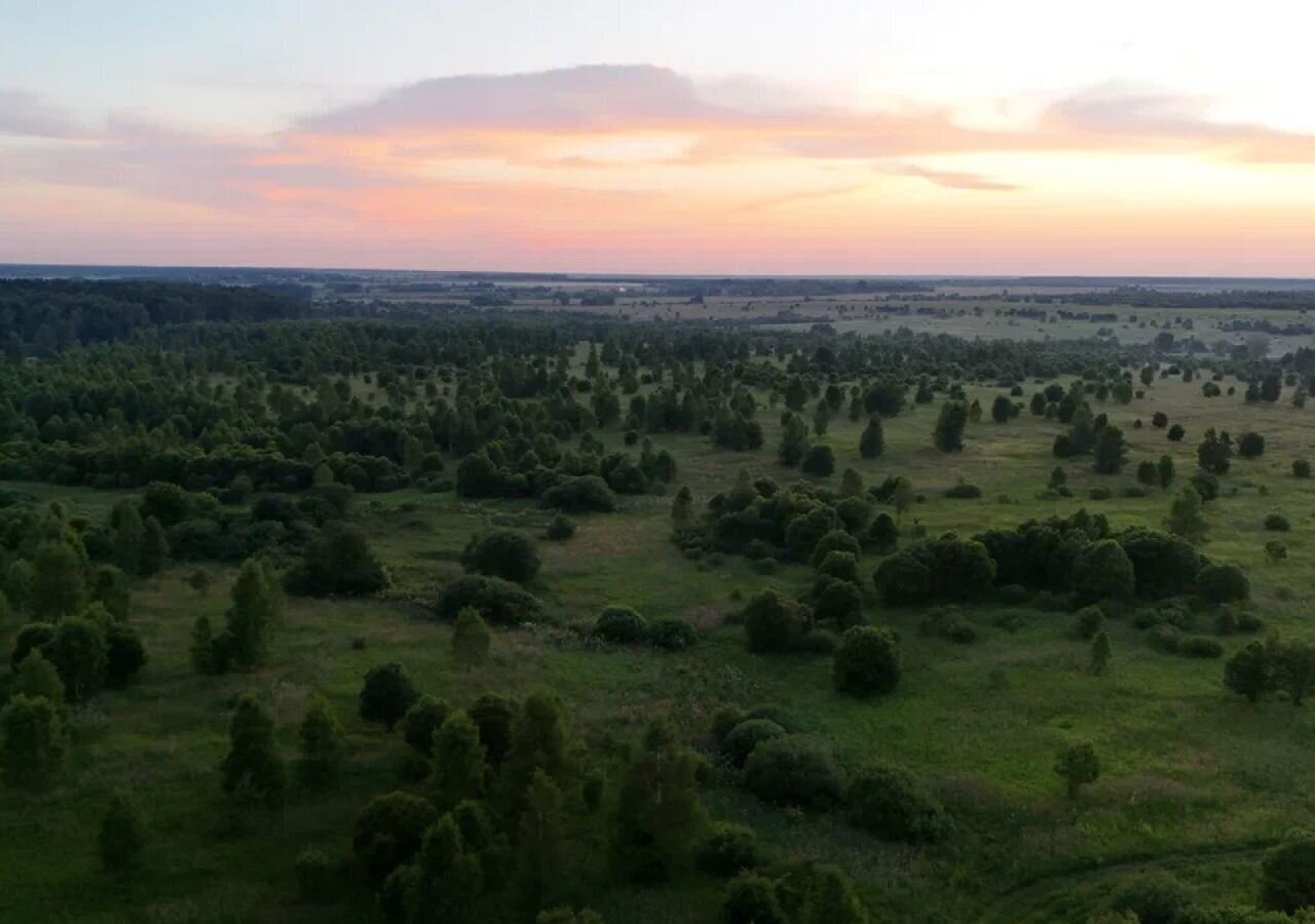 земля городской округ Ступино д Байдиково 63 км, г. о. Ступино, Малино, Новокаширское шоссе фото 6