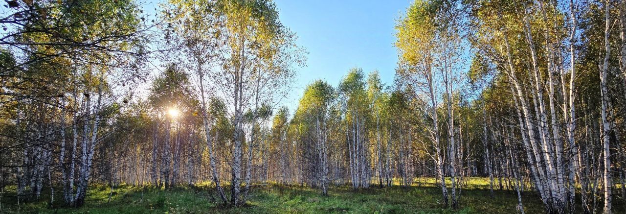 земля р-н Сосновский д Осиновка Кременкульское с/пос, кп, пер. Дружбы, 803 фото 6