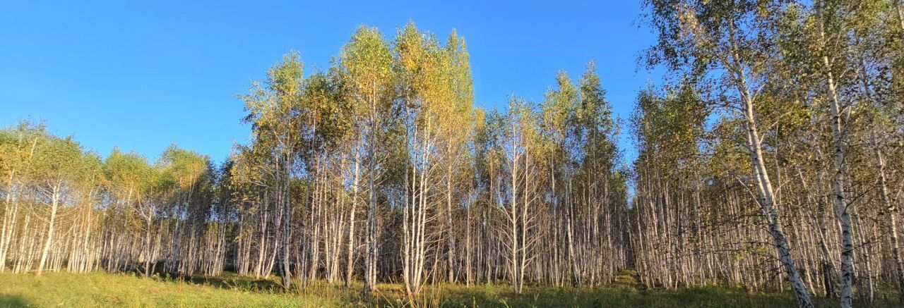 земля р-н Сосновский д Осиновка Кременкульское с/пос, кп, пер. Дружбы, 803 фото 5