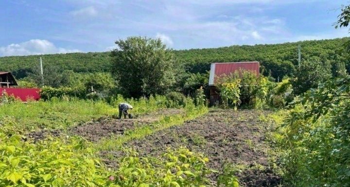 земля г Арсеньев ул Пушкинская 2д фото 4