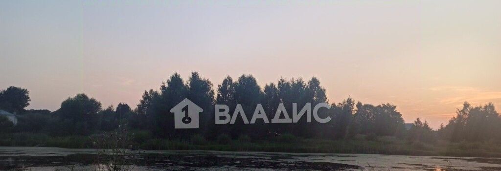 дом р-н Суздальский д Воронцово ул Запрудная Новоалександровское муниципальное образование фото 16