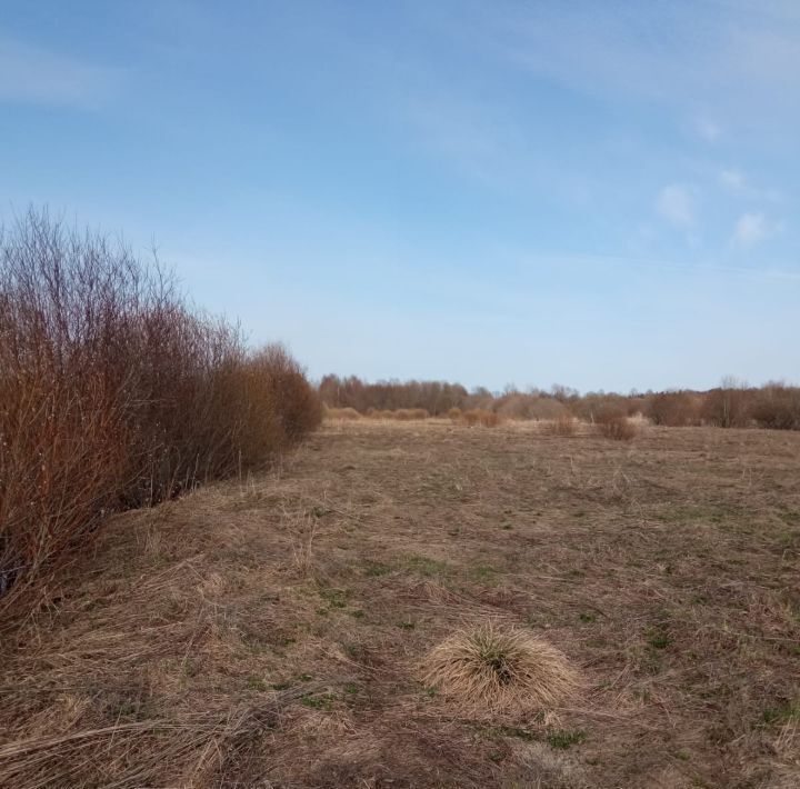 земля р-н Новгородский д Финёв Луг с пос, Тесово-Нетыльское фото 3