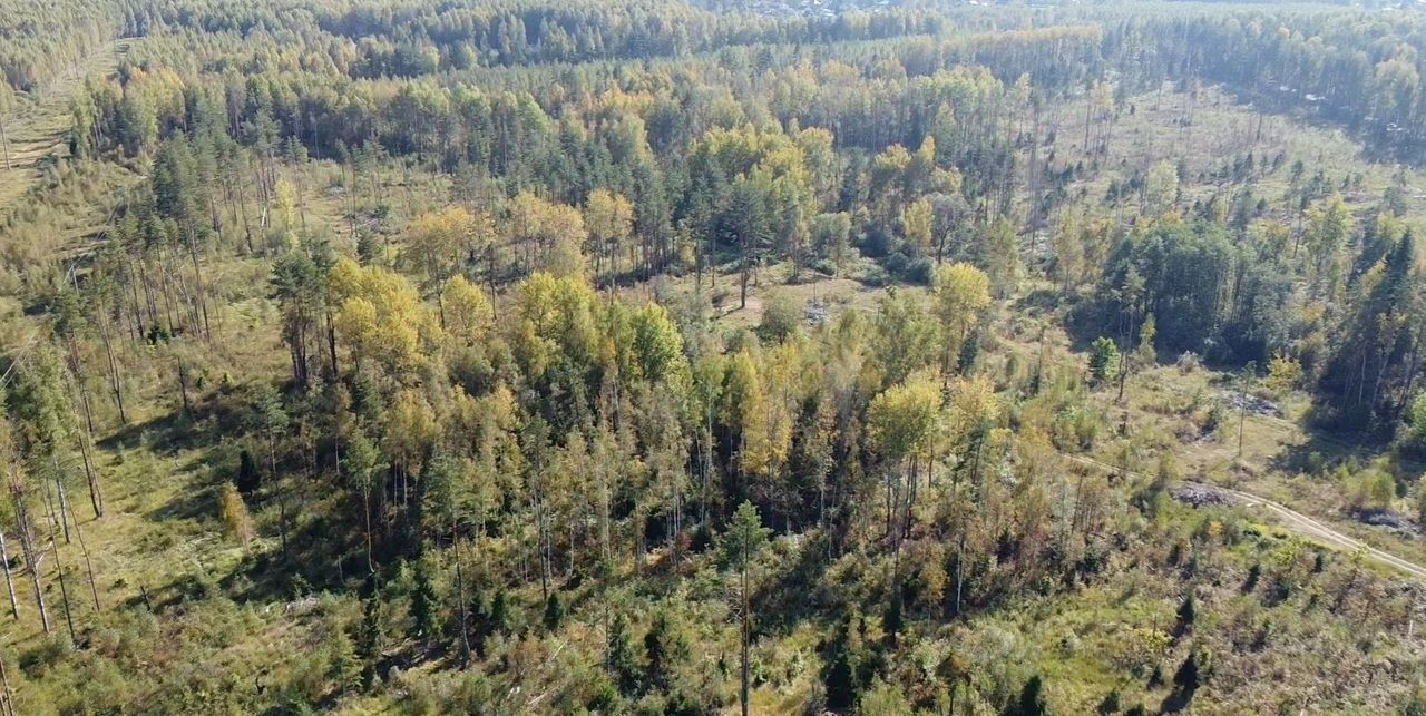 земля р-н Некрасовский д Смирново ул Сосновая с пос, Некрасовское фото 14