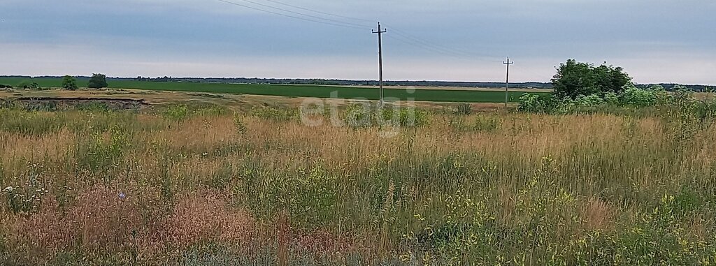 земля г Балашов ул Советская фото 1