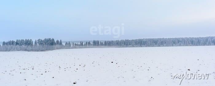 земля р-н Балашовский с Рассказань Лесновское муниципальное образование фото 1