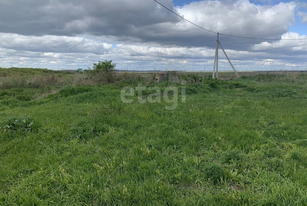 земля г Балашов фото 2