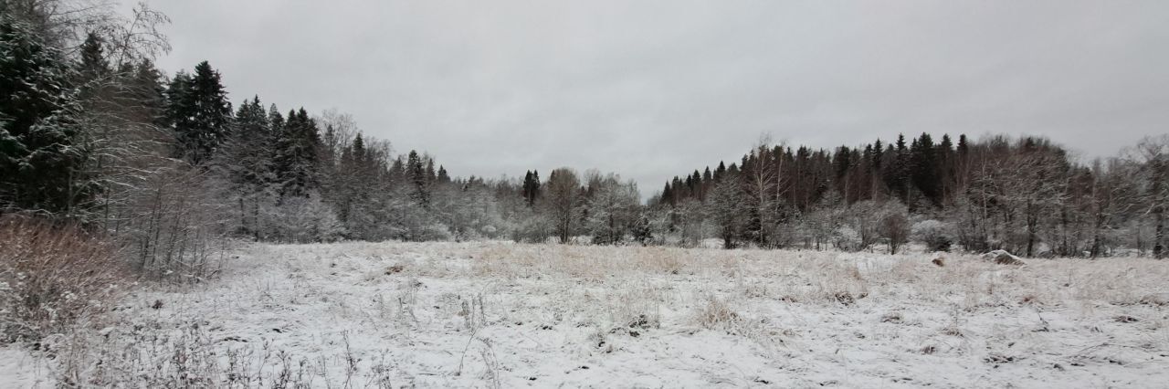 земля р-н Выборгский Советское городское поселение фото 3