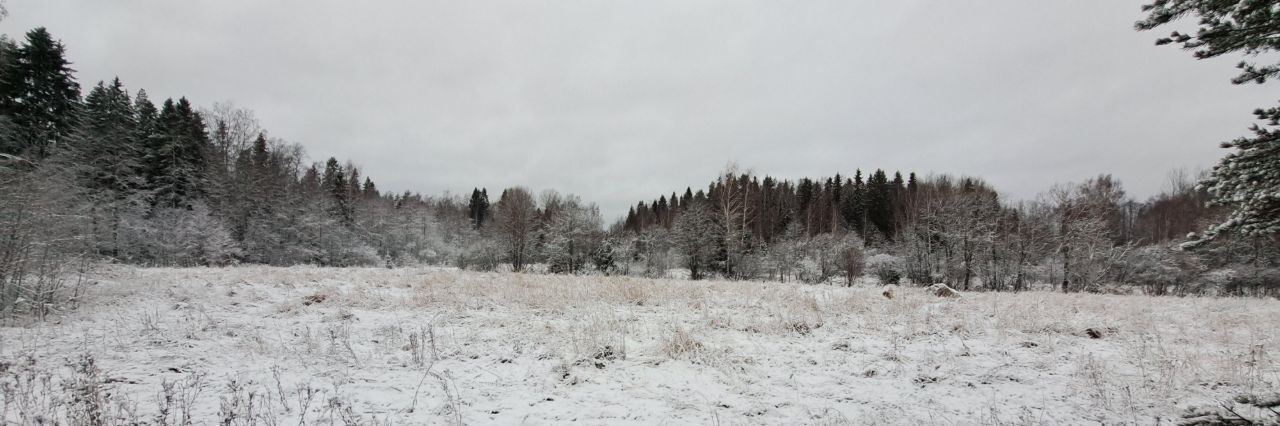 земля р-н Выборгский Советское городское поселение фото 5