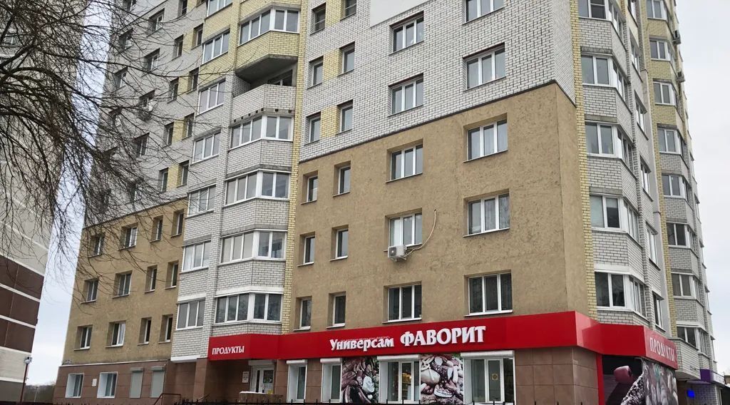 квартира г Брянск р-н Бежицкий ул Орловская 29 фото 14