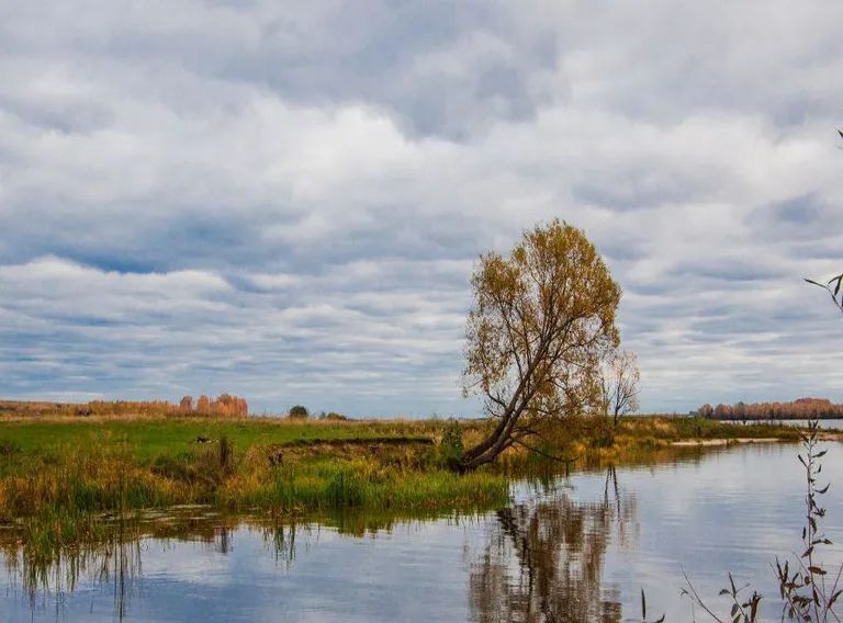 комната р-н Чкаловский д Зельево ул Портовая 30 Чкаловск городской округ фото 6