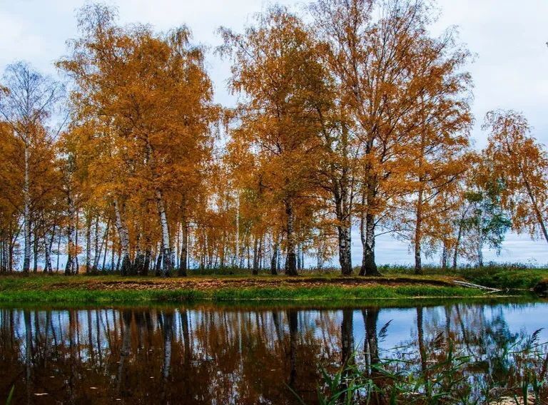 комната р-н Чкаловский д Зельево ул Портовая 30 Чкаловск городской округ фото 10