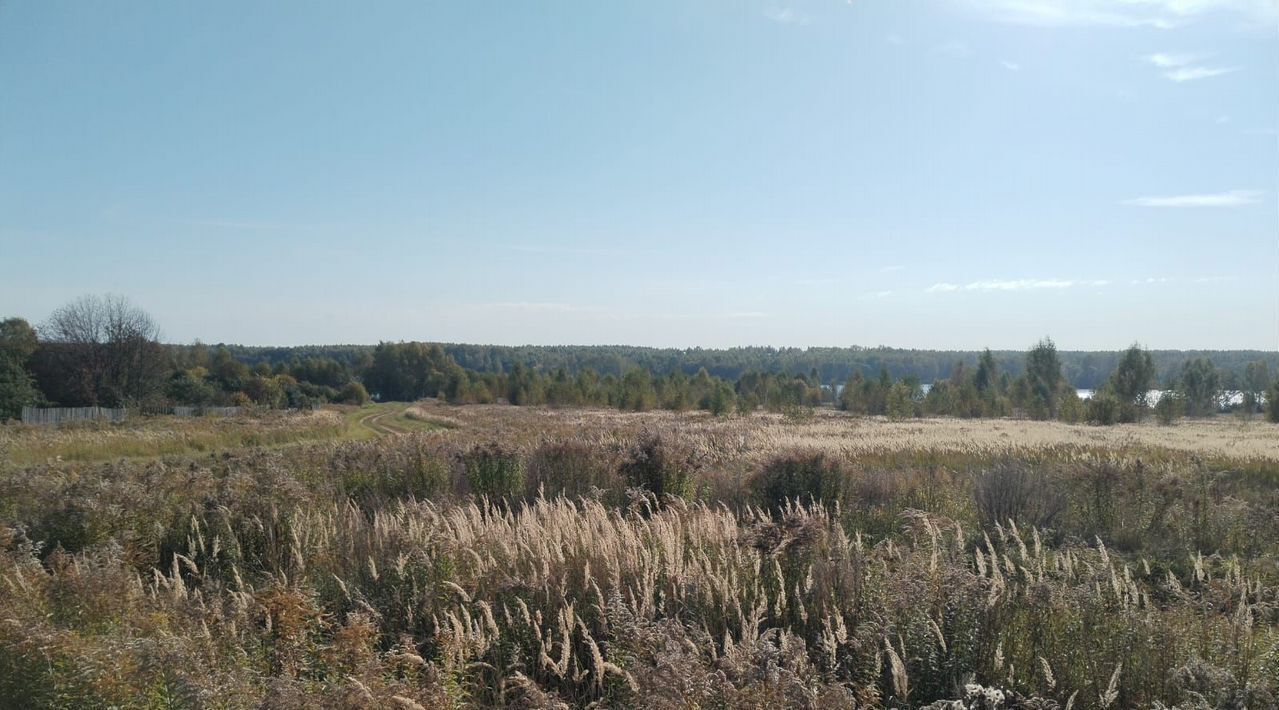 земля р-н Чкаловский д Ионово Чкаловск городской округ фото 11