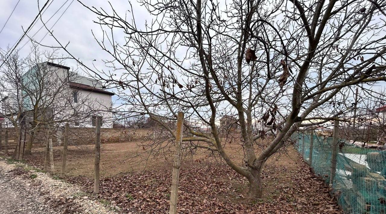 земля р-н Сакский с Уютное Прибой СПК, ул. Виноградная фото 3