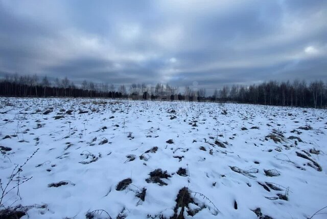 пер Малоардинский фото